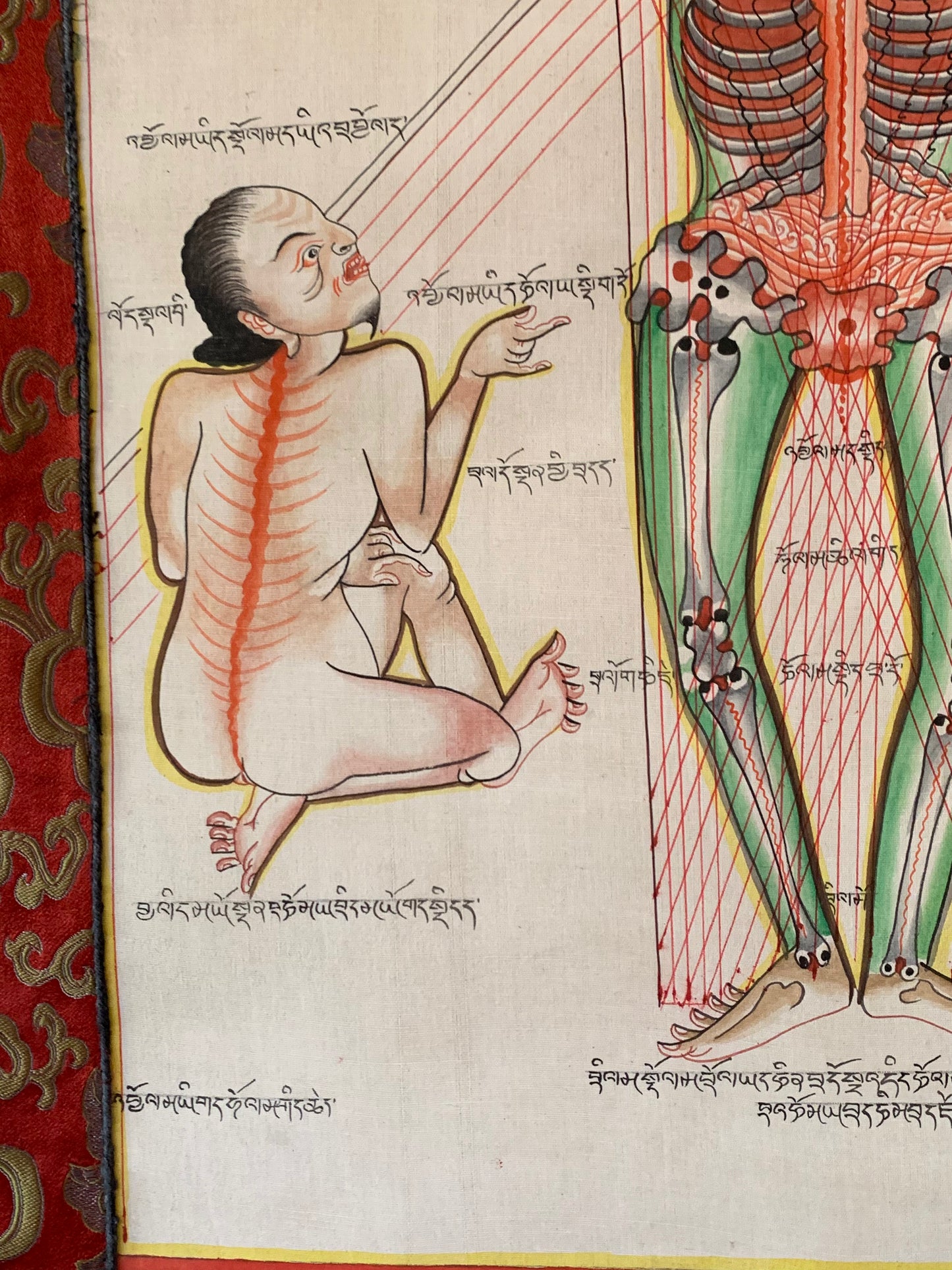 Tibetan Medicine Anatomical Thangka