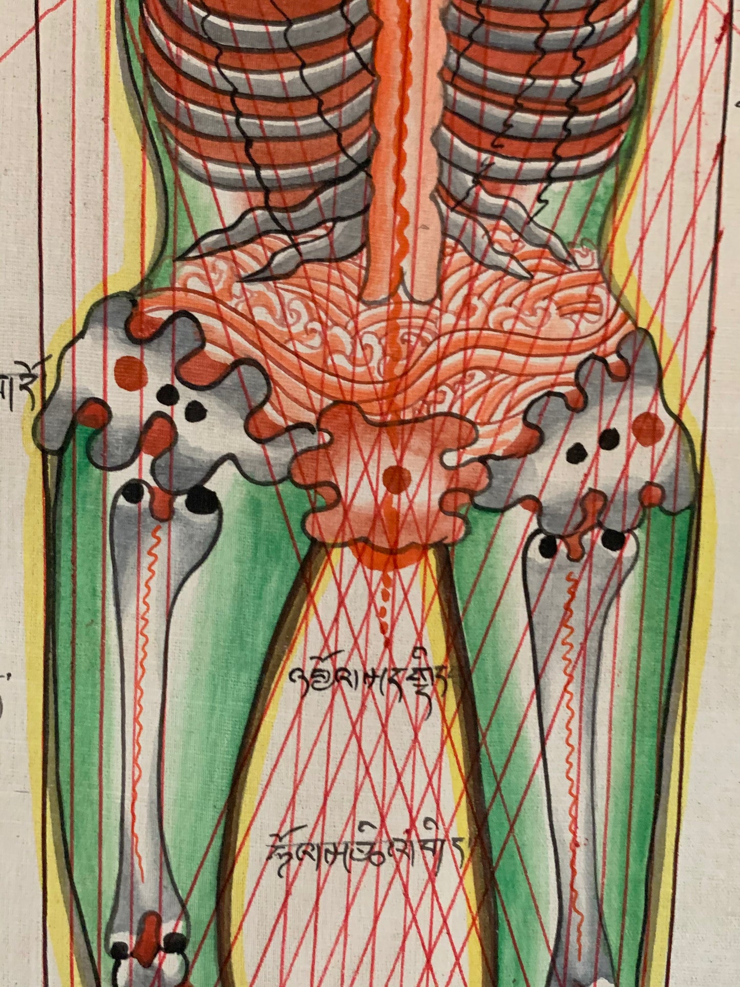 Tibetan Medicine Anatomical Thangka