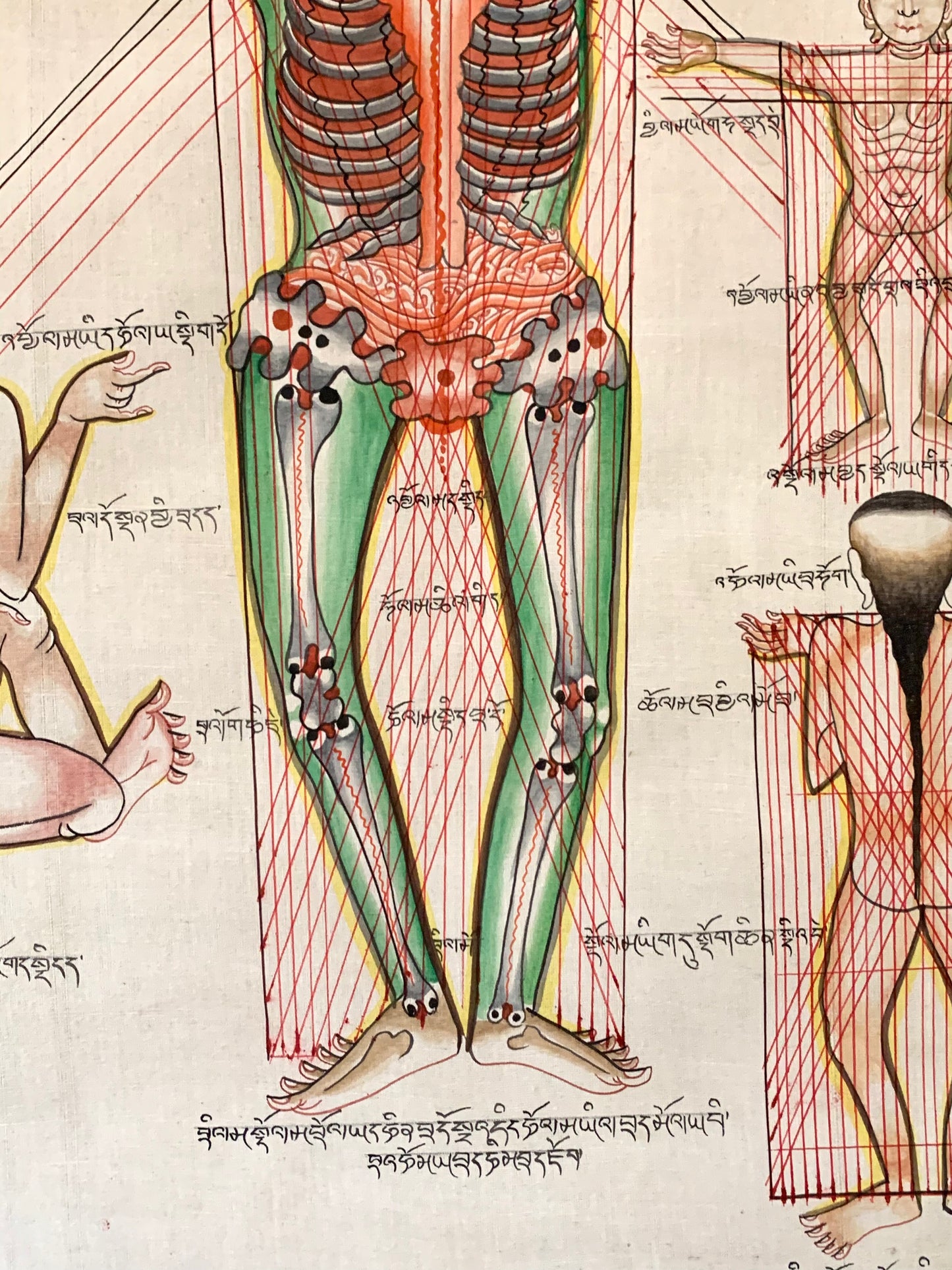 Tibetan Medicine Anatomical Thangka