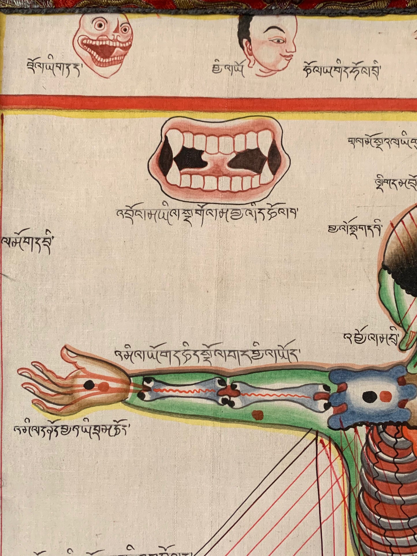 Tibetan Medicine Anatomical Thangka