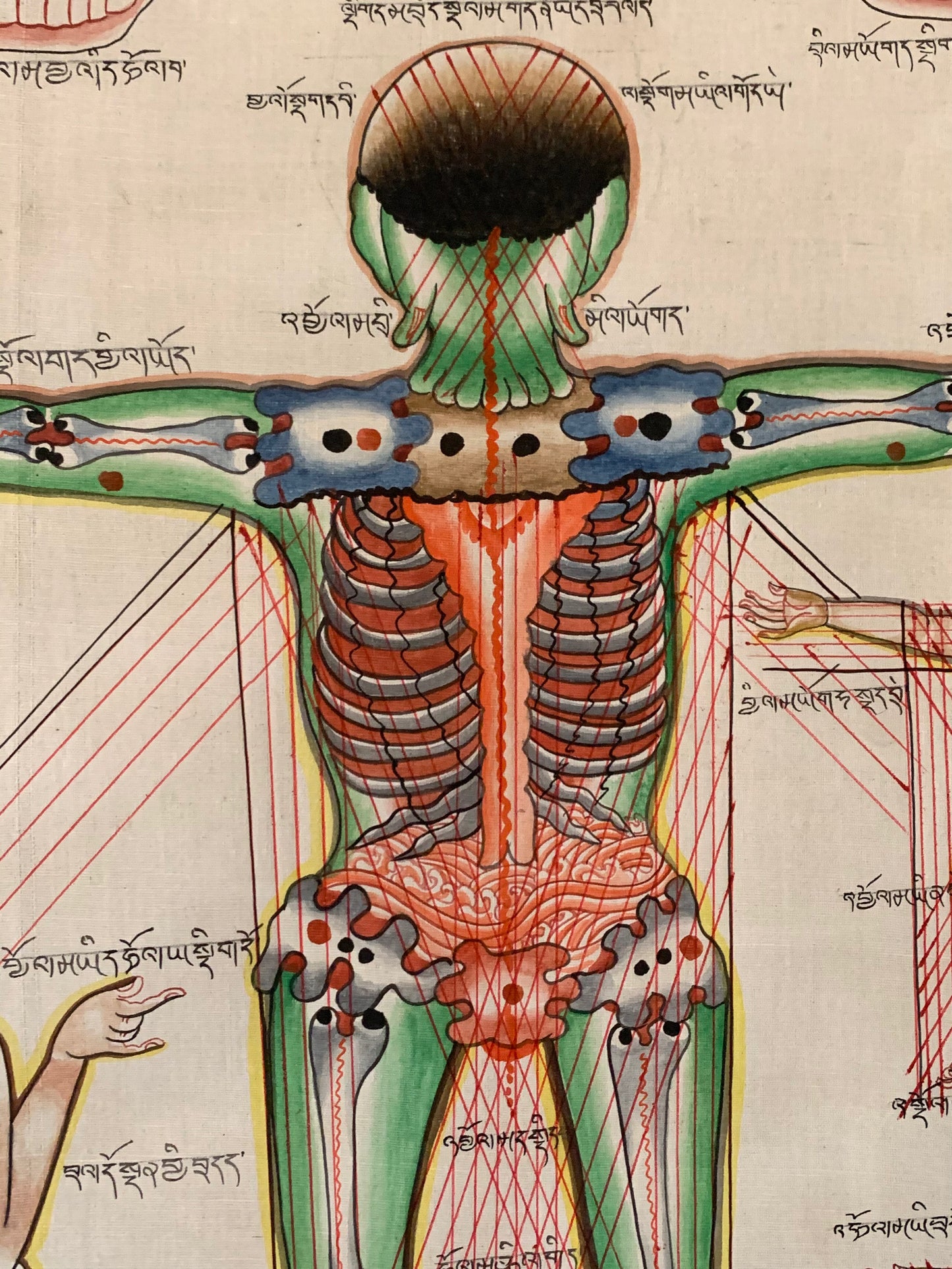 Tibetan Medicine Anatomical Thangka