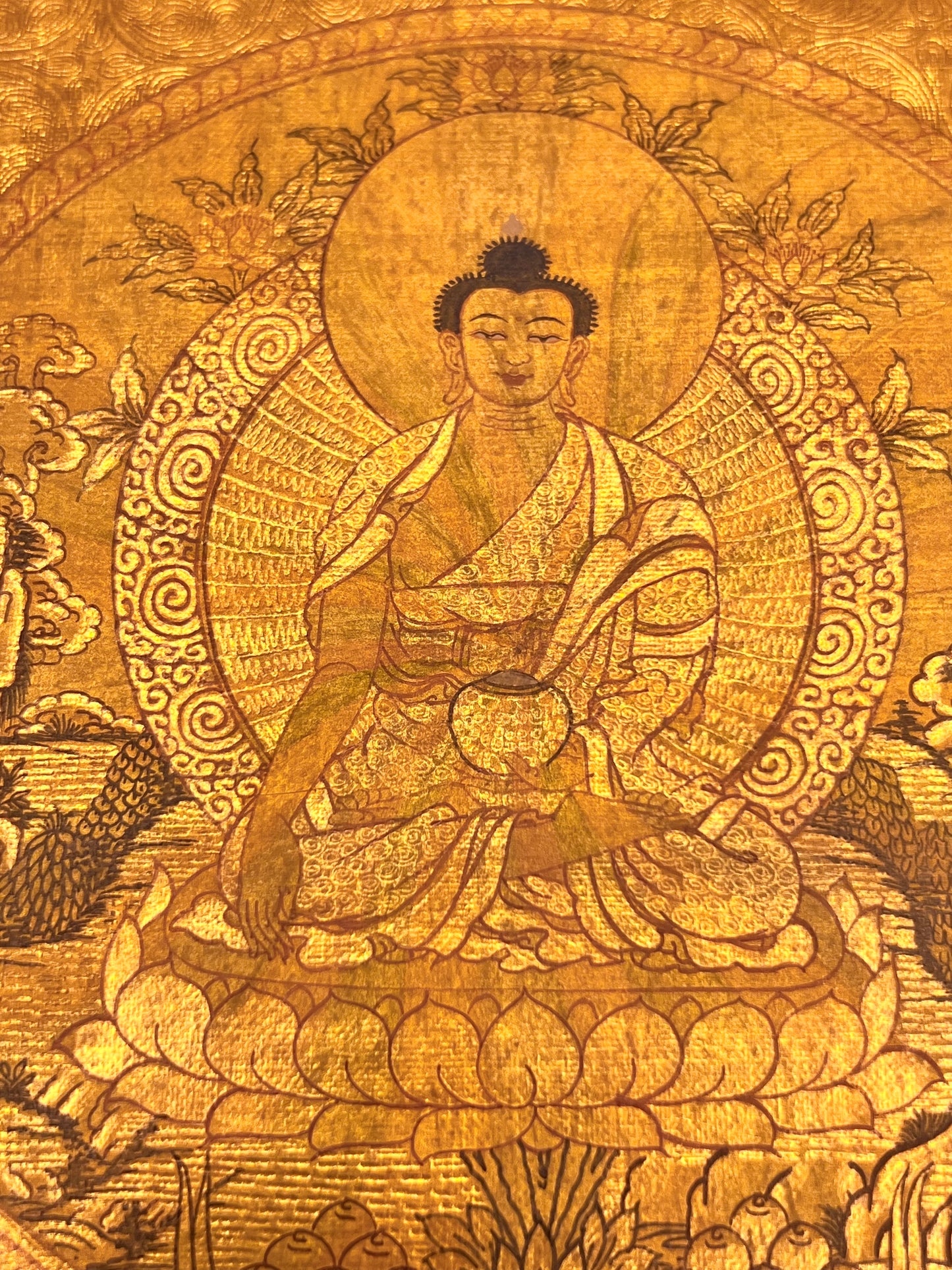 Shakyamuni Rainbow Body Mandala Unbrocaded Thangka